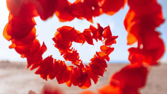 valentine's day heart