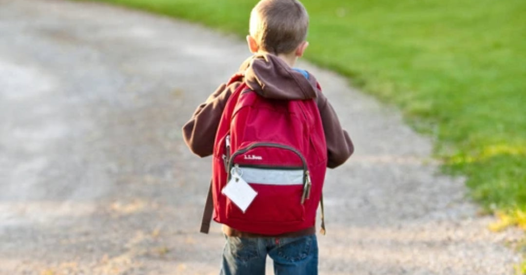 kindergarten child