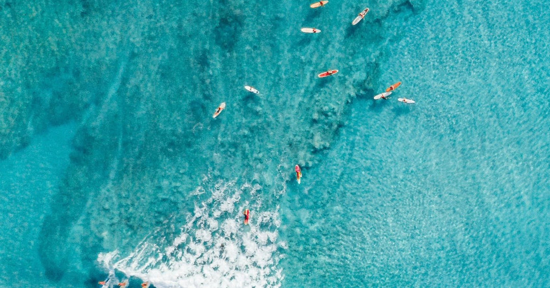 surfers in hawaii