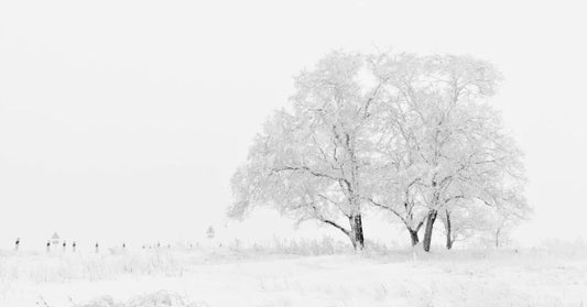 snow