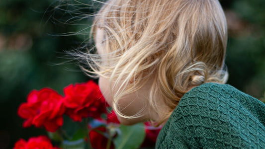 toddler with roses