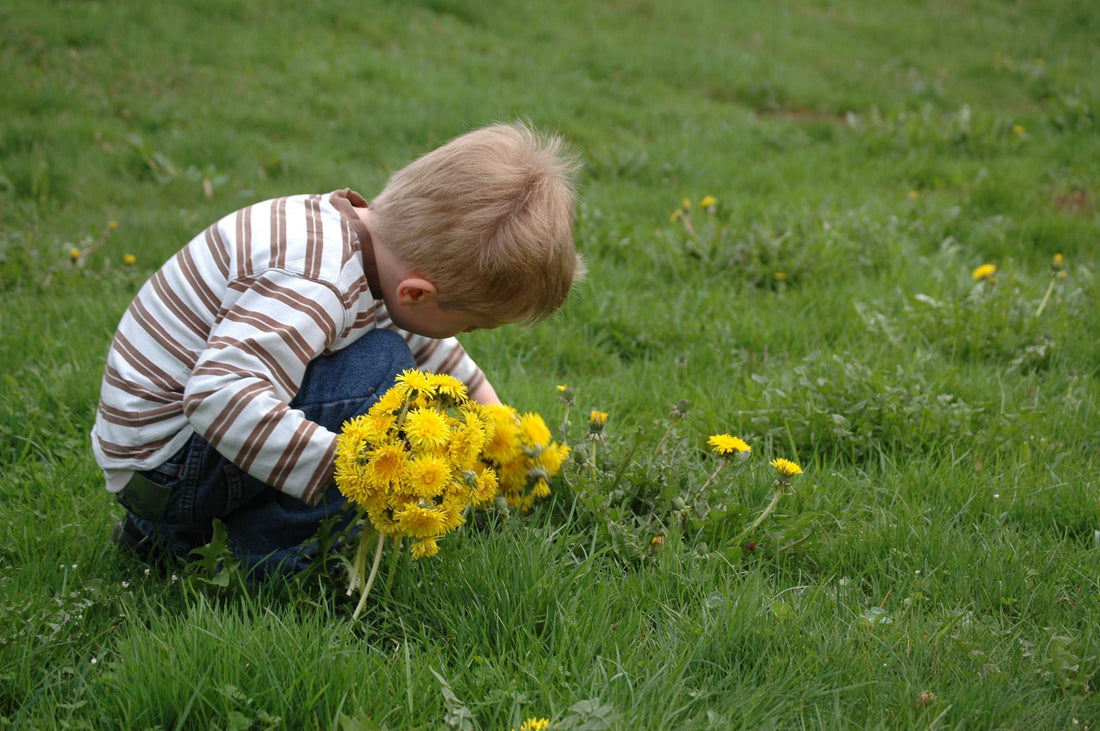 child with dandelions