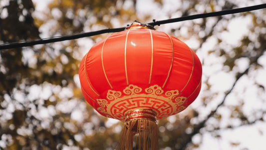 chinese new year lantern
