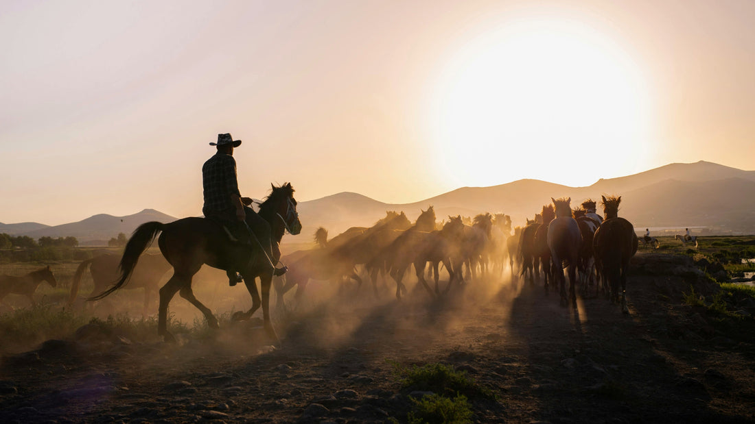 cowboy