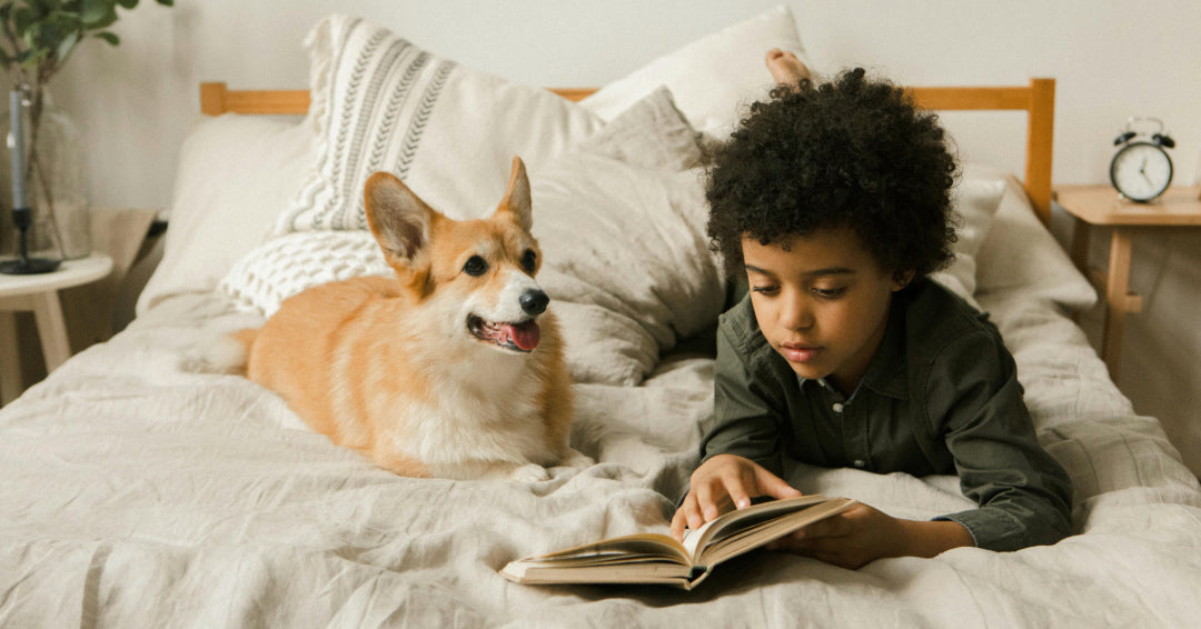 boy reading