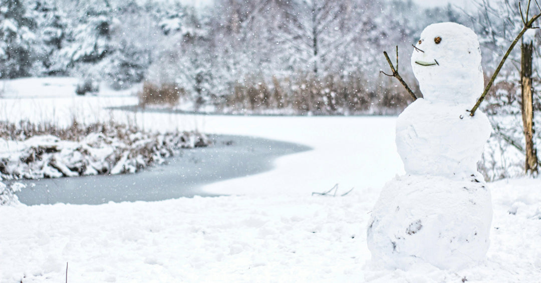 5 Frosty Facts About Snowmen Kids Will Love – The Lollipop Book Club