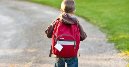 kindergarten child