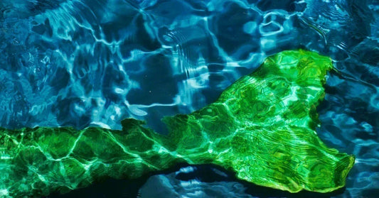 mermaid