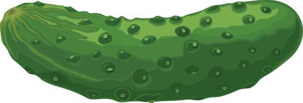 pickle clipart picture