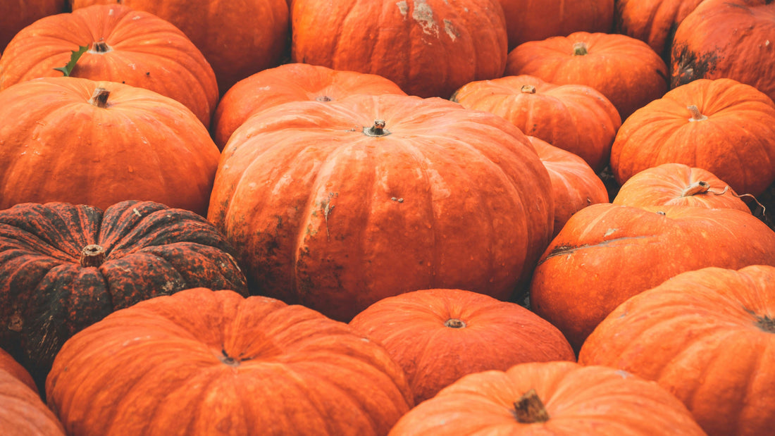 pumpkins