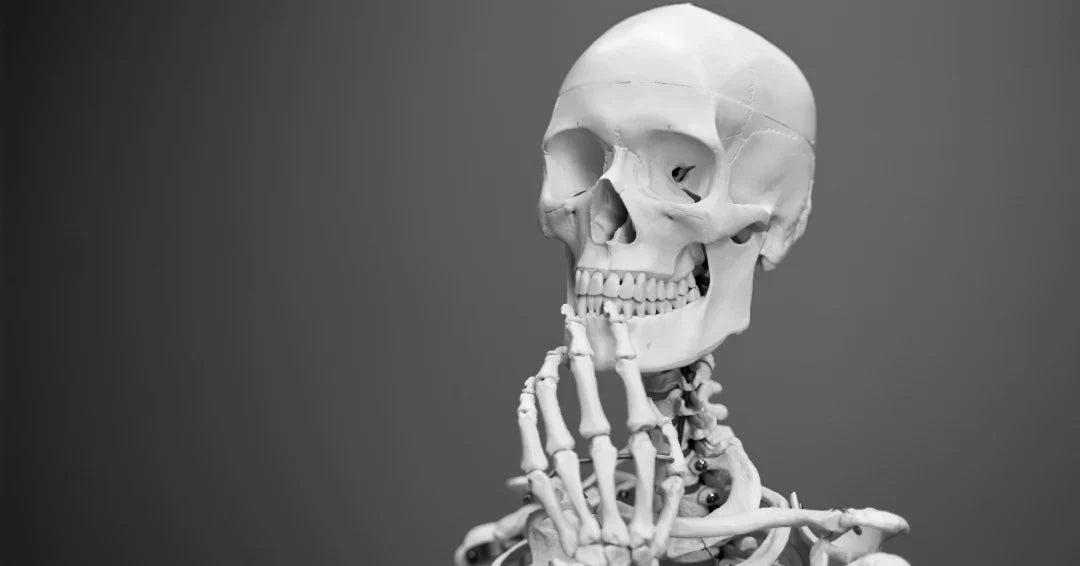 skeleton